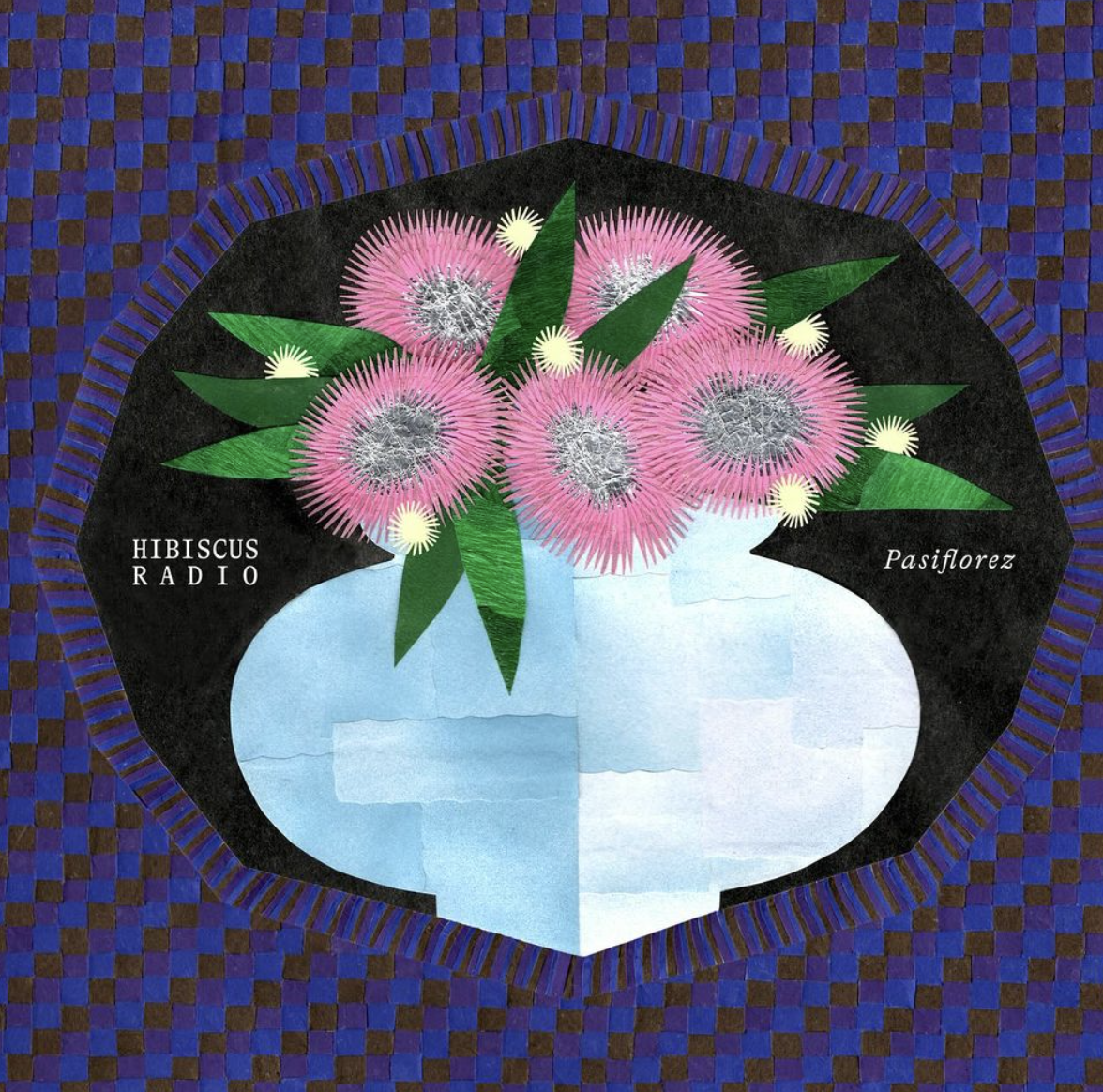 Hibiscus Radio by Pasiflorez